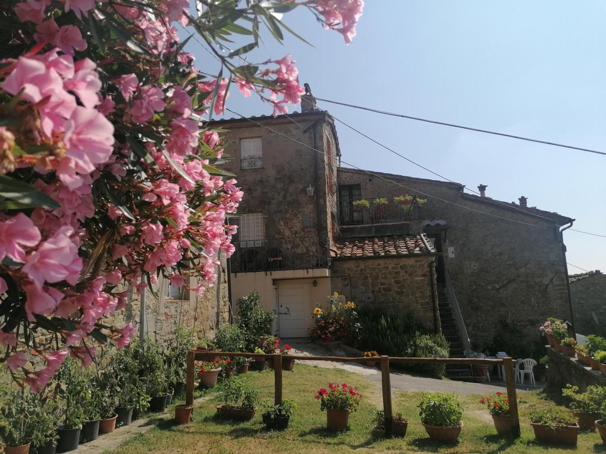 Casa Teresina Villa Collodi Rom bilde